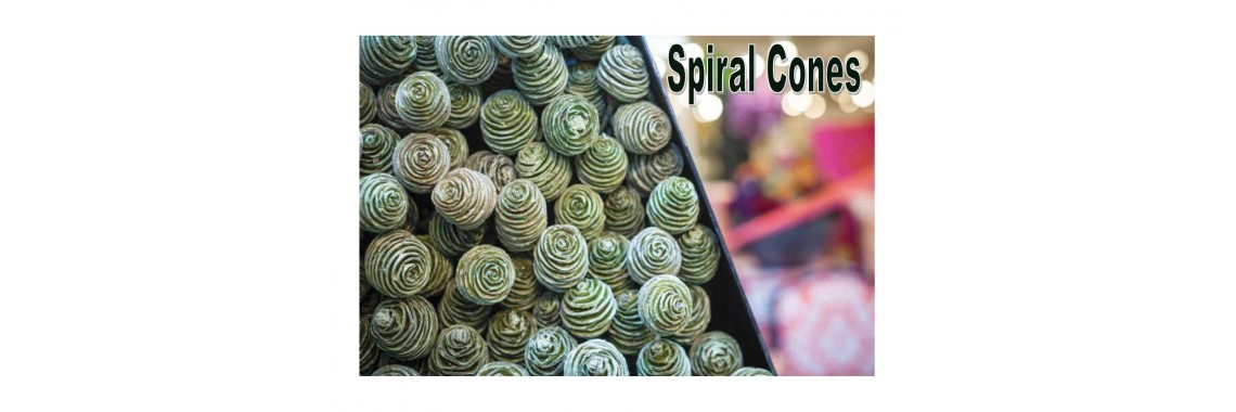 Spiral Cones